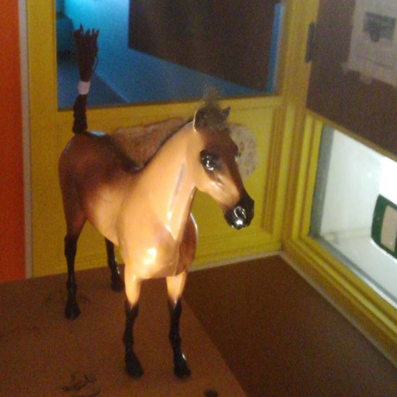 Album 03 placeholder